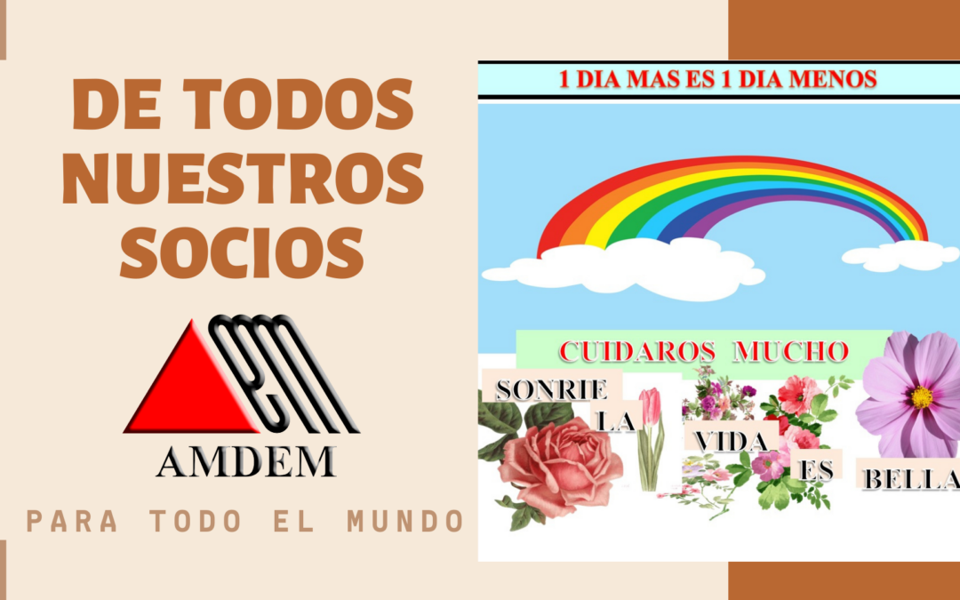 Todo va a salir bien – AMDEM