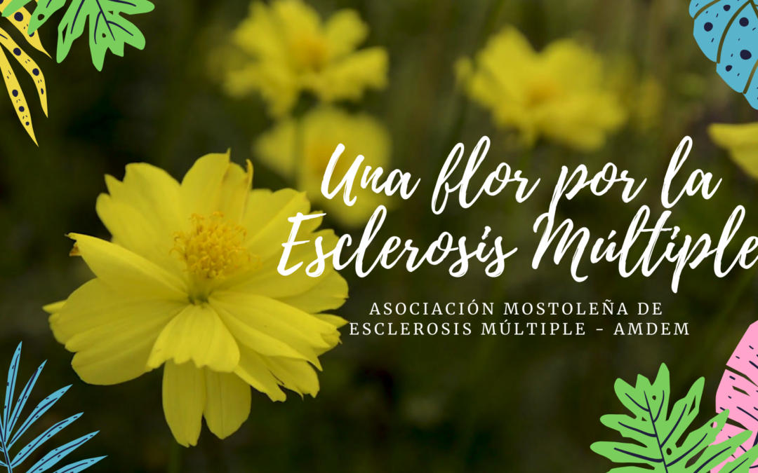 Una flor por la EM – AMDEM